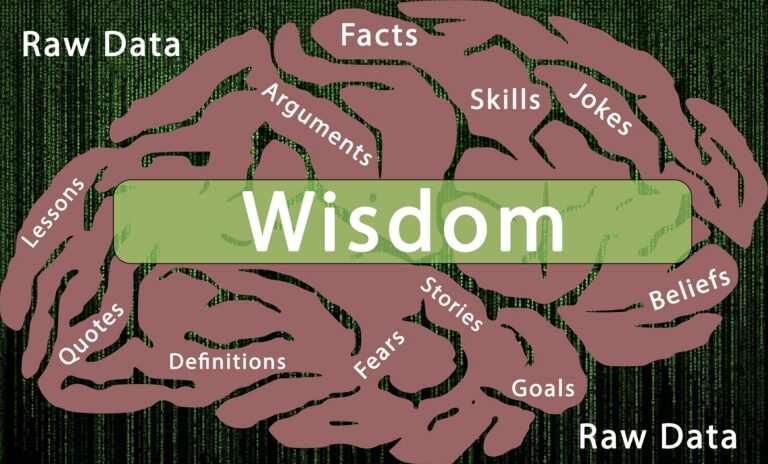 information-processing-4053081_1920-768x464